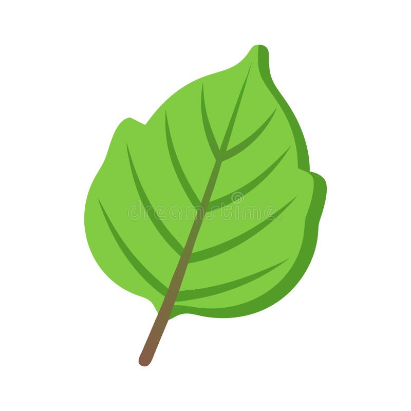 Stylish Leaf Design Icon vector illustration