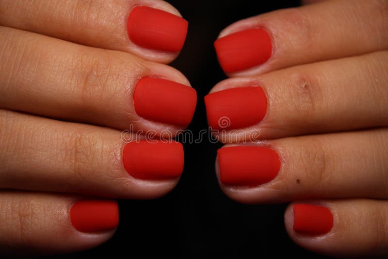 Stylish Design of Manicure on Long Nails Stock Image - Image of pattern ...