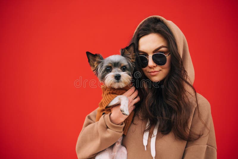 Stylish female owner isolated on red background with cute dog in hands posing at camera. Lady with biewer terrier in her arms