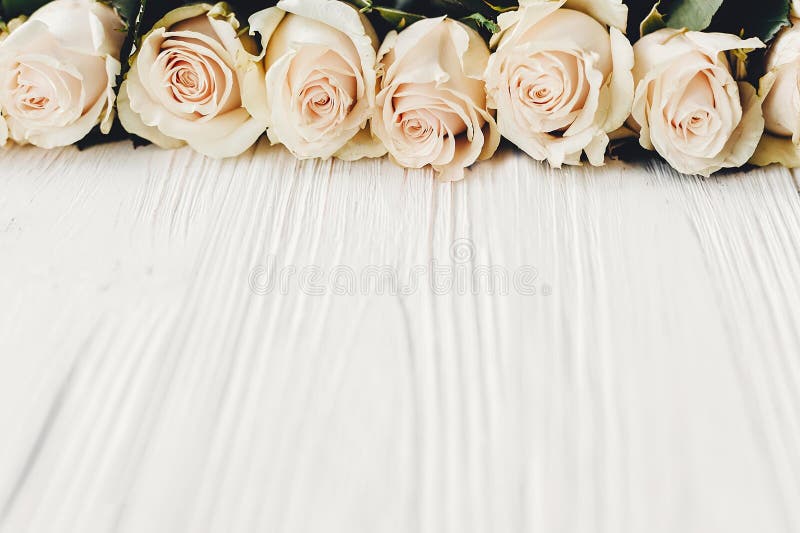 Stylish Floral greeting card mockup. White roses on wooden background, copy space for text. Wedding invitation or happy mother da stock images Stylish Floral greeting card mockup. White roses on wooden background, copy space for text. Wedding invitation or happy mother da stock images