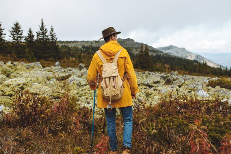 Stylish Guy Observing Beautiful Valley with Stones and Forest Stock ...