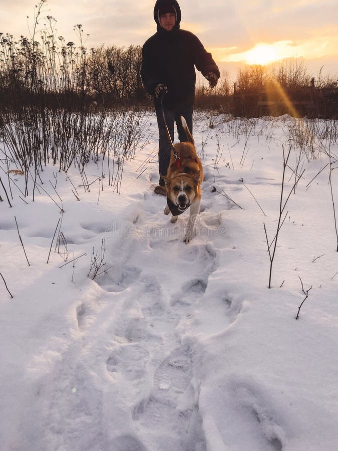 Stylish hipster man running with cute golden dog in snowy cold park. Man playing with his dog in winter white forest in warm royalty free stock images Stylish hipster man running with cute golden dog in snowy cold park. Man playing with his dog in winter white forest in warm royalty free stock images