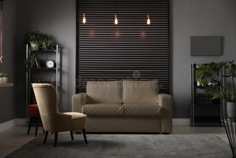 Stylish Living Room with Elegant Leather Sofa Stock Photo Image of