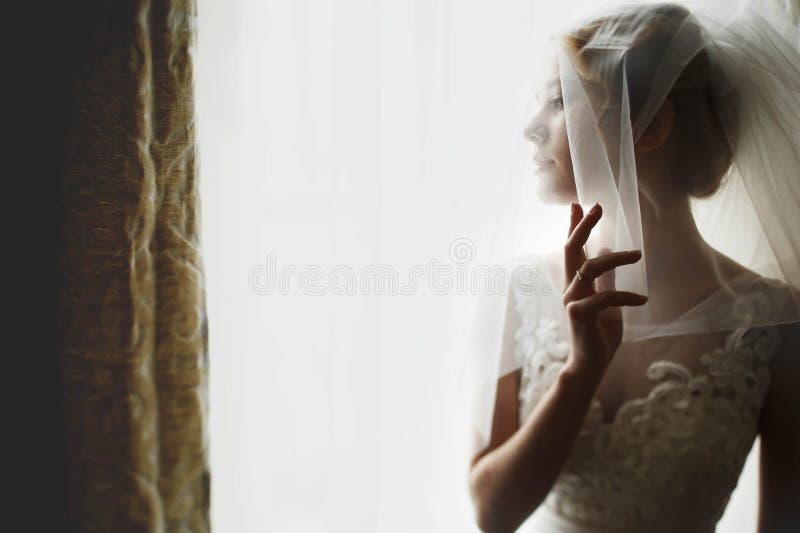 Stylish luxury gorgeous blonde bride posing on the background ho stock photos