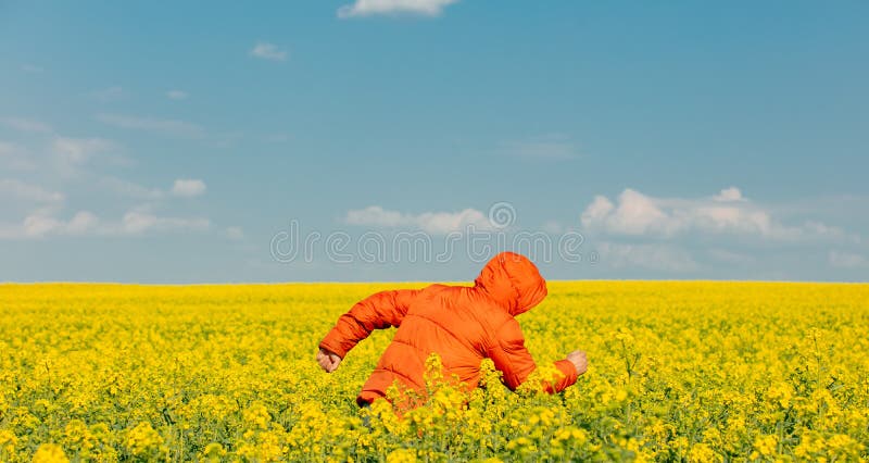 Stylish man in orange jacket in rapeseed field stock images