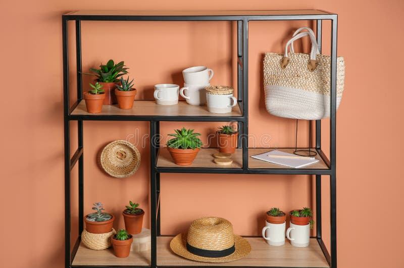 Stylish Shelving Unit with Decorative Elements Near Color Wall