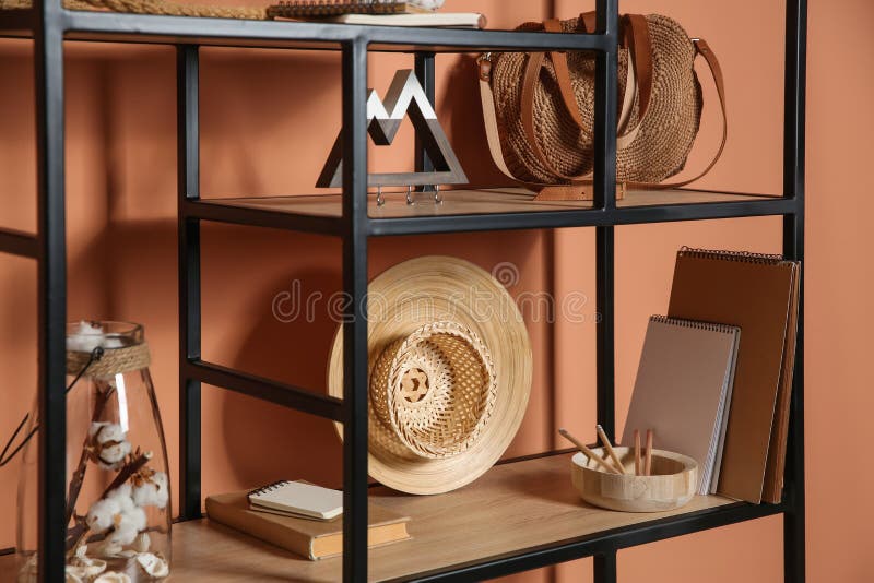 Stylish Shelving Unit with Decorative Elements Near Color Wall