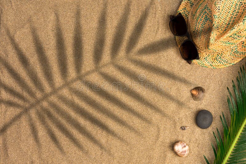 Stylish summer composition with green leaves, hat and sunglasses on a sand background with shadows