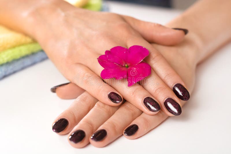 Stylish trendy female nails manicure. Beautiful young woman wet hands with purple nails color with tinsel and flower on fingers