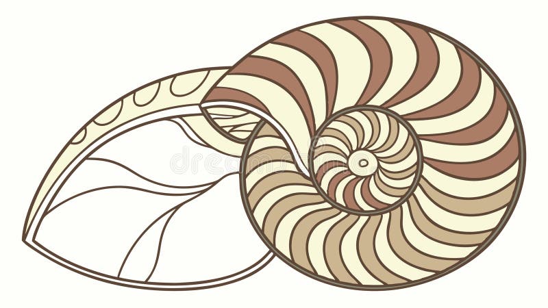 Stylized Nautilus Shell Halved Intricate Spiral, vector design Generative AI stock illustration