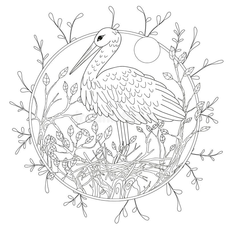 Zentangle stylized pelican stock vector. Illustration of illustration