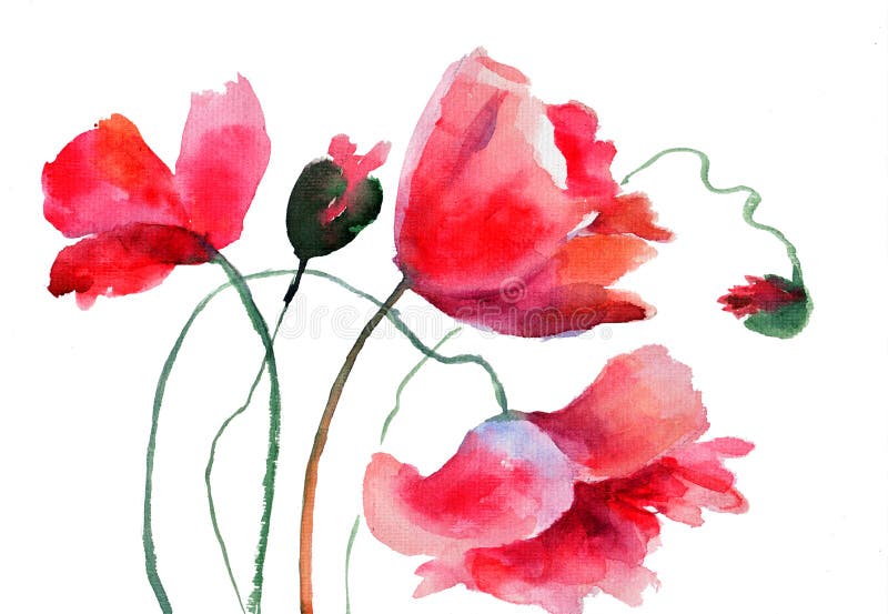 Stylized Poppy Flowers Illustration Stock Illustration - Illustration ...
