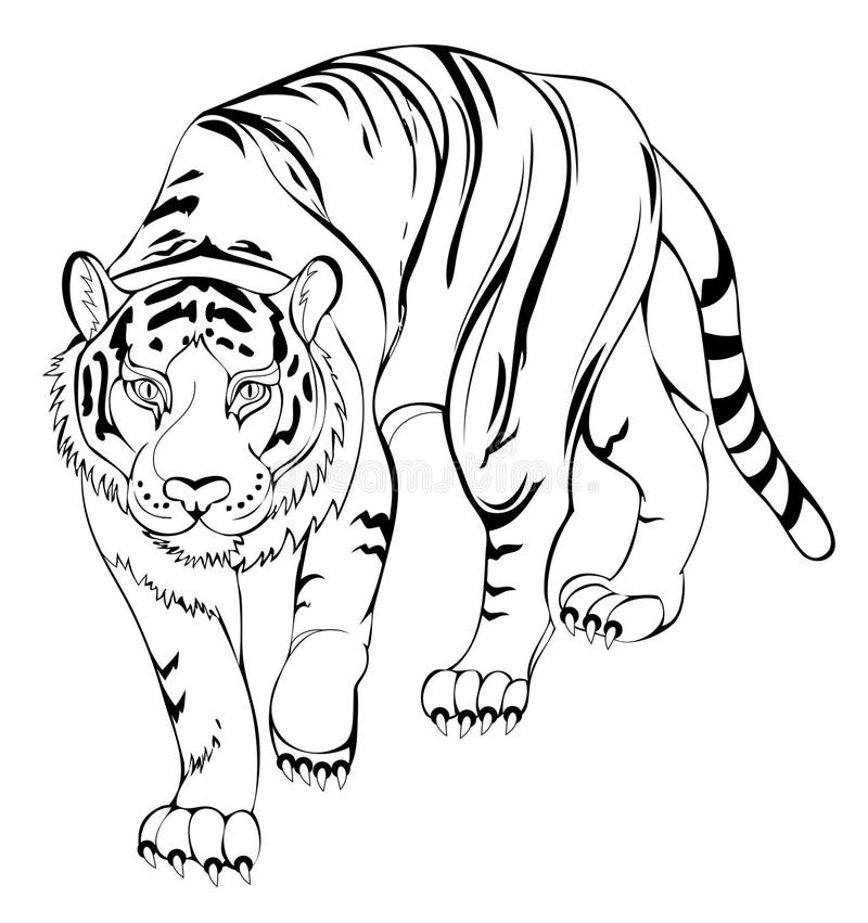 Stylized Tiger. Black And White Page For Coloring Book. Pattern For ...