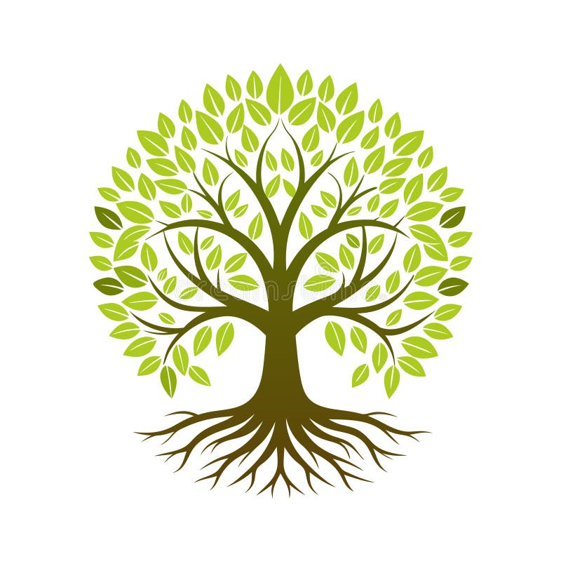 Stylized Tree of Life Illustration with Circular Crown of Green Leaves stock illustration