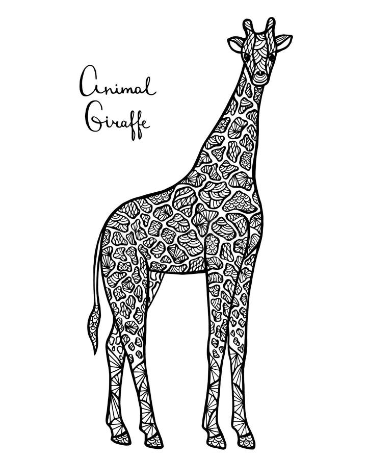Download Stylized Vector Giraffe, Zentangle Isolated On White ...