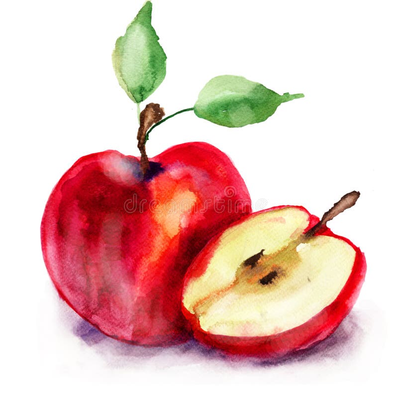 Stylized Watercolor Apple Illustration Stock Illustration