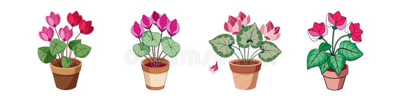 Stylizowana cylamenowa ilustracja na biało royalty ilustracja