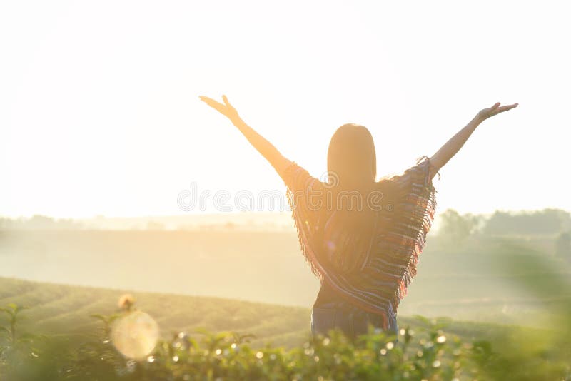 Lifestyle traveler woman happy feeling good relax and freedom facing on the natural tea farm in the sunrise morning, Thailand. Travel Concept. Lifestyle traveler woman happy feeling good relax and freedom facing on the natural tea farm in the sunrise morning, Thailand. Travel Concept