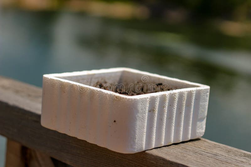 A Styrofoam Bait Worm Container on a Ledge Next To a Lake Ready To