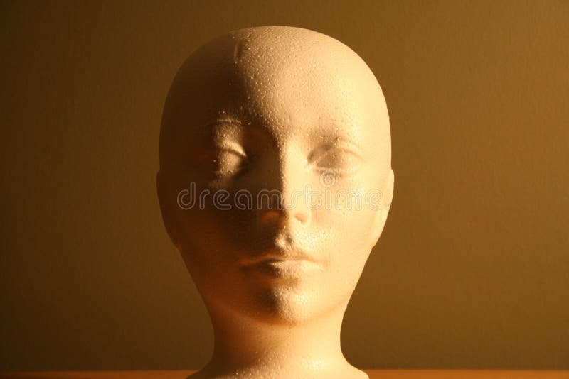 Styrofoam Head Picture. Image 8363087