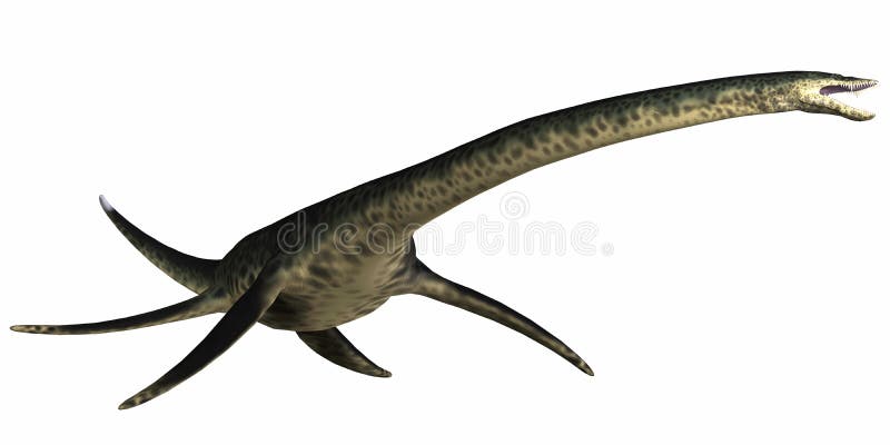 Download Styxosaurus on White stock illustration. Illustration of creature - 51302289