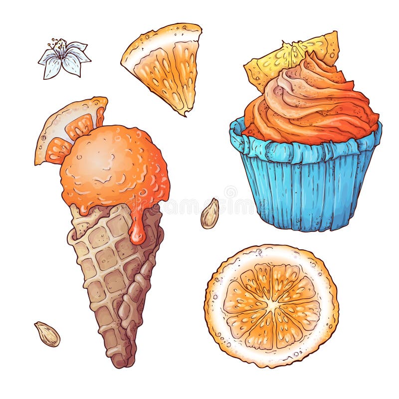 Ställ in av citrus glass och muffin också vektor för coreldrawillustration stock illustrationer Ställ in av citrus glass och muffin också vektor för coreldrawillustration stock illustrationer