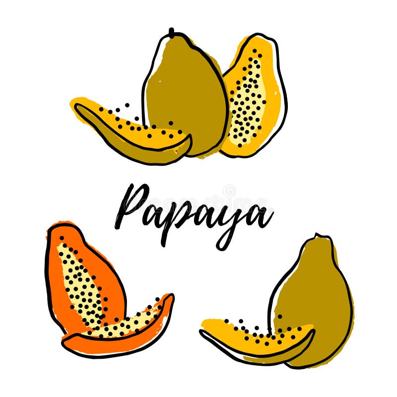 Ställ in av den abstrakta papayaen royaltyfri illustrationer Ställ in av den abstrakta papayaen royaltyfri illustrationer