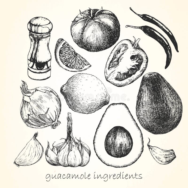 Ställ in av ingredienser för Guacamole tecknade kvinnor för framsidahandillustration s vektor vektor illustrationer Ställ in av ingredienser för Guacamole tecknade kvinnor för framsidahandillustration s vektor vektor illustrationer