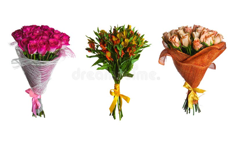 Ställ in blommabuketten isolerad royaltyfri illustrationer
