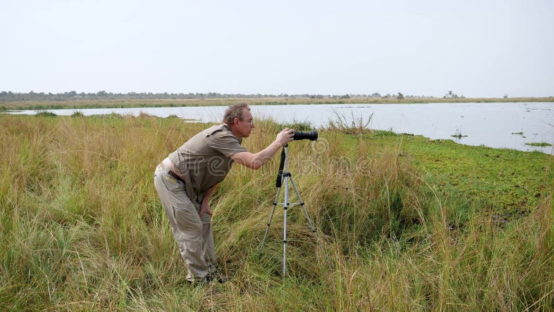 Ställning för manfotografTakes Pictures On kamera på tripoden i djurliv av Afrika