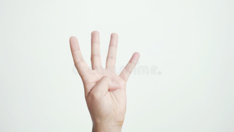 Stäng sig av den isolerade kvinnliga handen visar upp fyra fingrar som isoleras på vit bakgrund royaltyfri foto Stäng sig av den isolerade kvinnliga handen visar upp fyra fingrar som isoleras på vit bakgrund royaltyfri foto