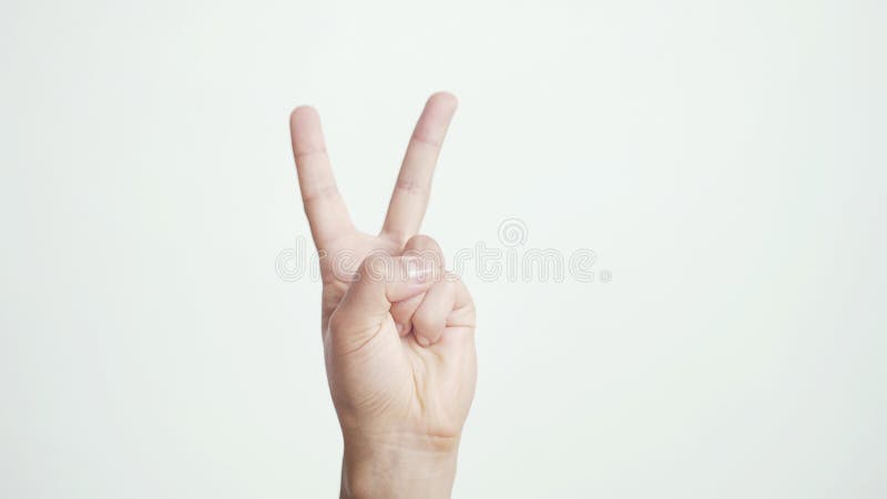 Stäng sig av den isolerade kvinnliga handen visar upp olikt tecken som isoleras på vit bakgrund arkivfoto Stäng sig av den isolerade kvinnliga handen visar upp olikt tecken som isoleras på vit bakgrund arkivfoto