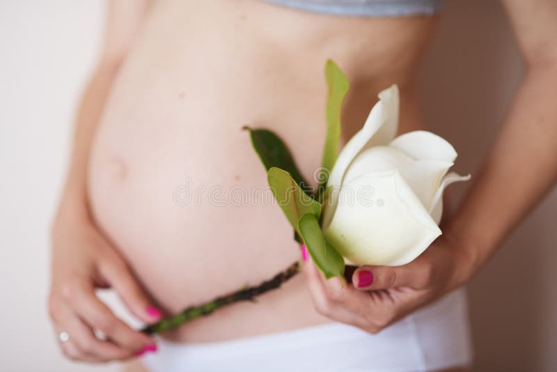 Stäng sig upp av gravid kvinna i händerna som rymmer våren med magnoliablommor royaltyfri bild Stäng sig upp av gravid kvinna i händerna som rymmer våren med magnoliablommor royaltyfri bild
