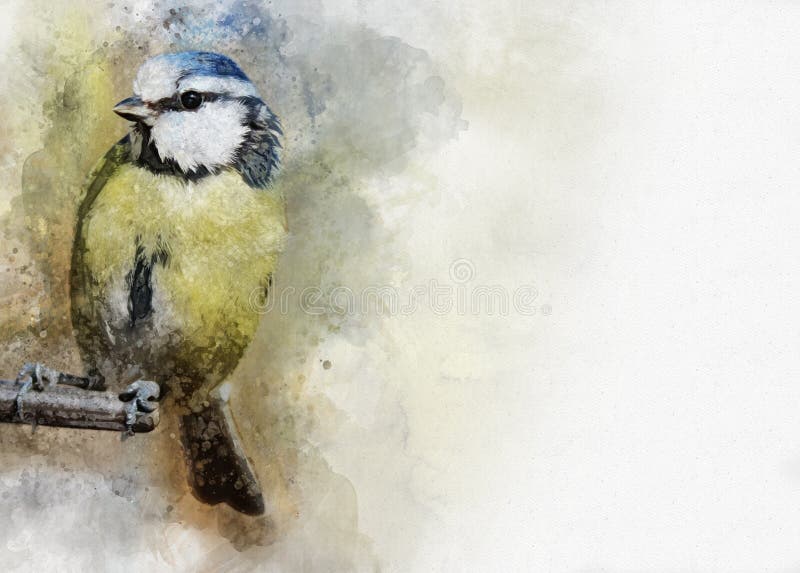 Stående av en fågel för blå mes, vattenfärgmålning Fågelillustration royaltyfri illustrationer Stående av en fågel för blå mes, vattenfärgmålning Fågelillustration royaltyfri illustrationer
