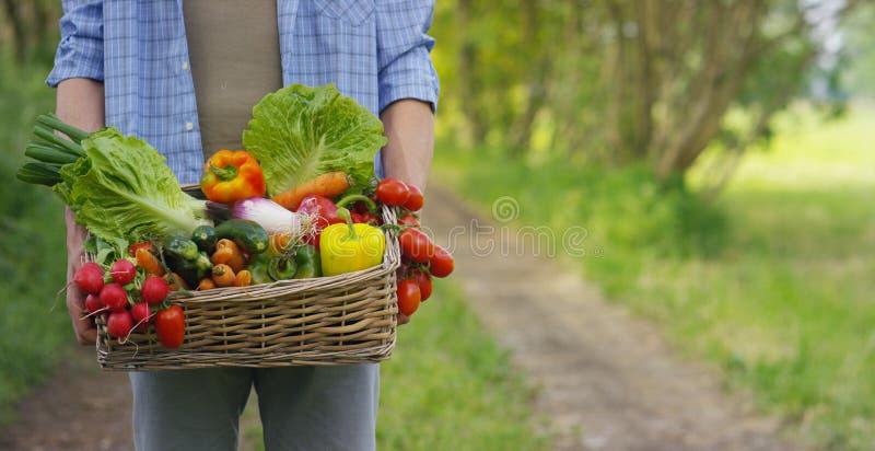 Stående av en lycklig ung bonde som rymmer nya grönsaker i en korg På en bakgrund av naturen begreppet av biologisk bio pr arkivfoton