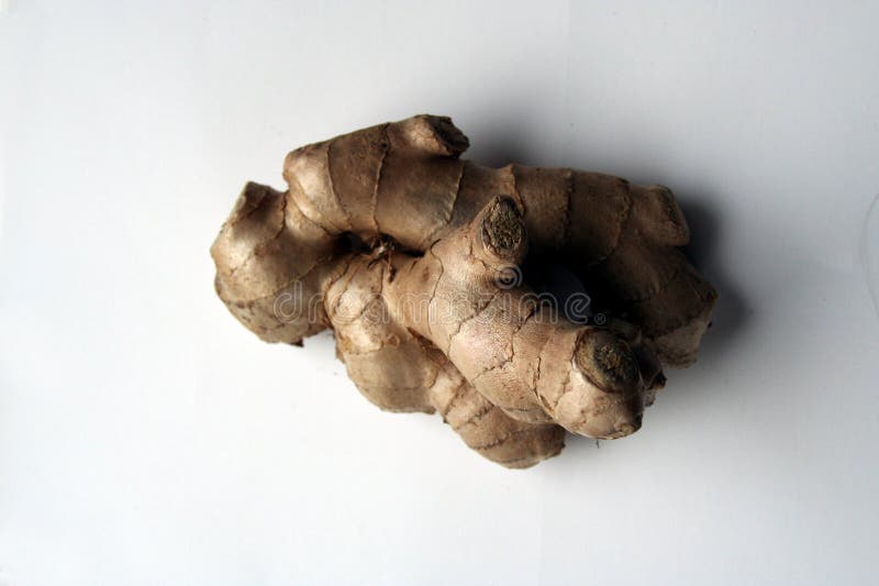 Piece of ginger root, great spice and great alternative medicine, e.g. in traditional chinese medicine, on white background. Piece of ginger root, great spice and great alternative medicine, e.g. in traditional chinese medicine, on white background