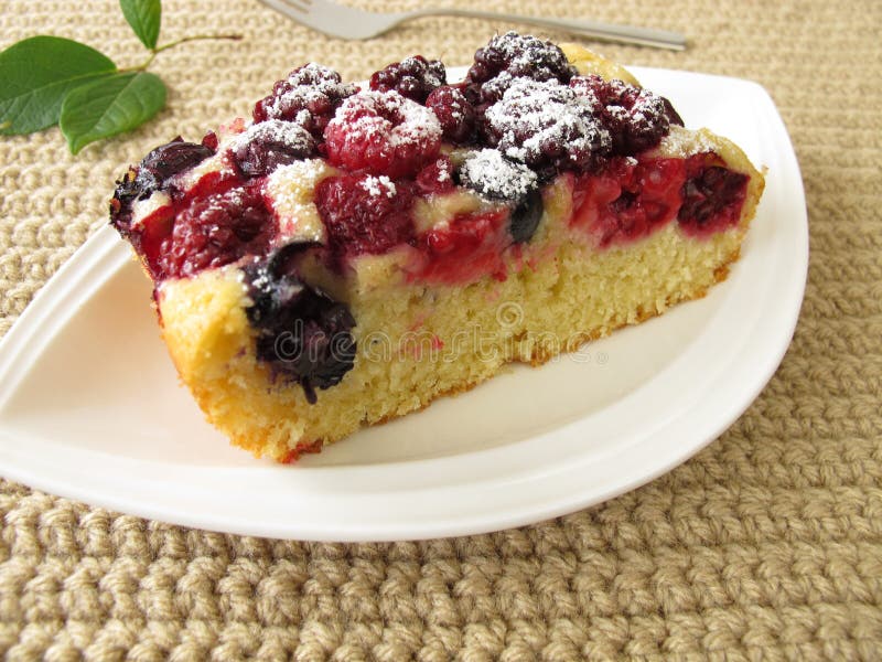 Piece of berry cake with powdered sugar. Piece of berry cake with powdered sugar