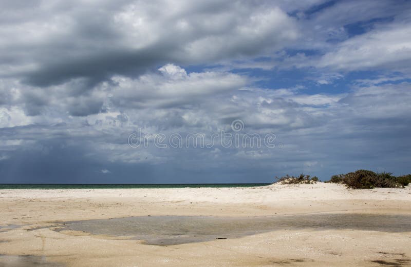 Stürmisches cloudscape über dem Ozean mit Sandstrand- und -wasserpfützen und kleine Dünen im Vordergrund - Vogelfliegen im Himmel lizenzfreies stockfoto Stürmisches cloudscape über dem Ozean mit Sandstrand- und -wasserpfützen und kleine Dünen im Vordergrund - Vogelfliegen im Himmel lizenzfreies stockfoto