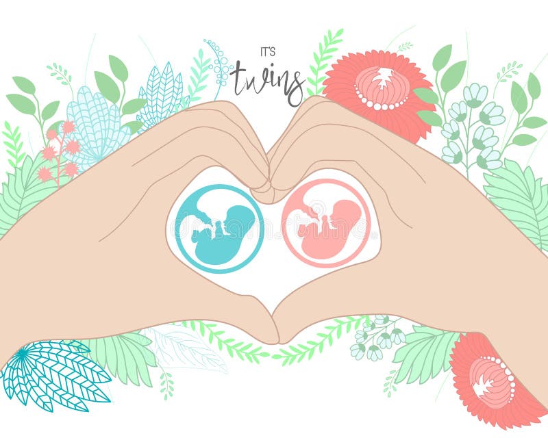 Vector sketch illustration with embryos and inscription - It`s twins - for baby shower card, t-shirt print or poster. .Vector sketch illustration with embryos and inscription - It`s twins - for baby shower card, t-shirt print or poster.