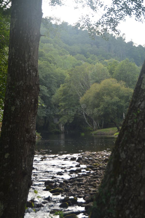 Suarna River On Its Passage Between Two Holm oak In Navia De Suarna. Nature, Architecture, History, Street Photography. August 23 stock photography Suarna River On Its Passage Between Two Holm oak In Navia De Suarna. Nature, Architecture, History, Street Photography. August 23 stock photography