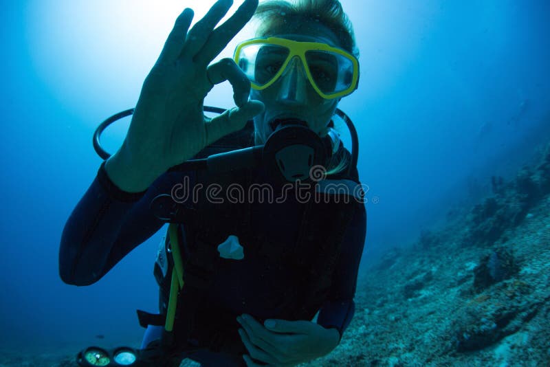 Subaqueo immagini stock libere da diritti Subaqueo immagini stock libere da diritti