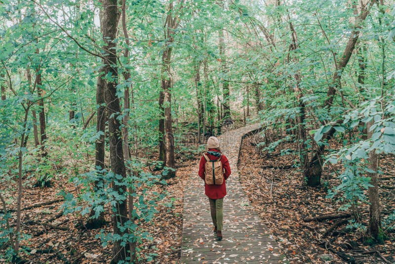 Subida da atividade da natureza. mulher com saco caminhando na floresta verde no parque urbano. destino da queda do caminhada de v