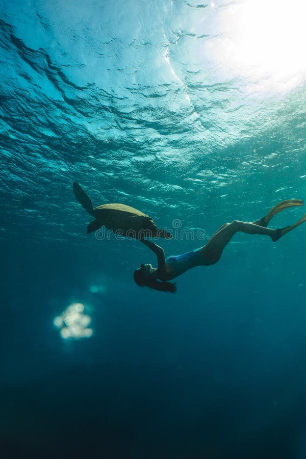 Submarino freediving de la muchacha con la tortuga linda en el mar azul fotos de archivo libres de regalías Submarino freediving de la muchacha con la tortuga linda en el mar azul fotos de archivo libres de regalías