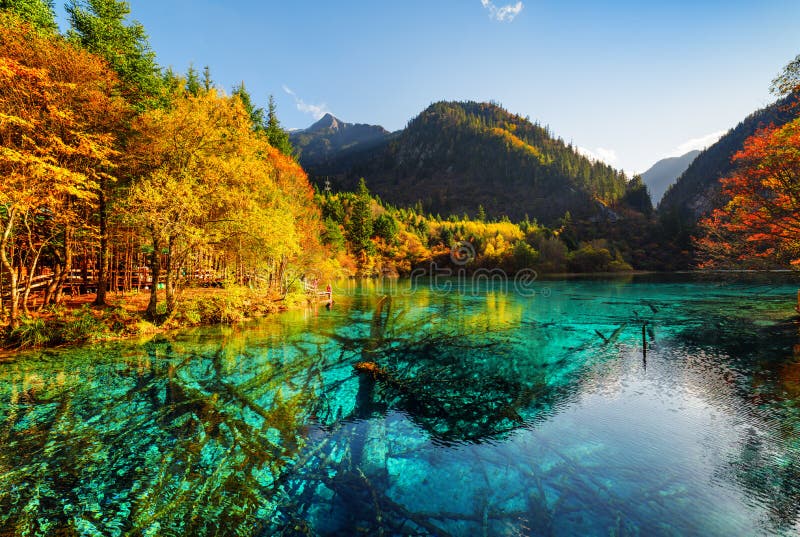 Submerged Tree Trunks In Azure Water Of The Five Flower Lake Stock