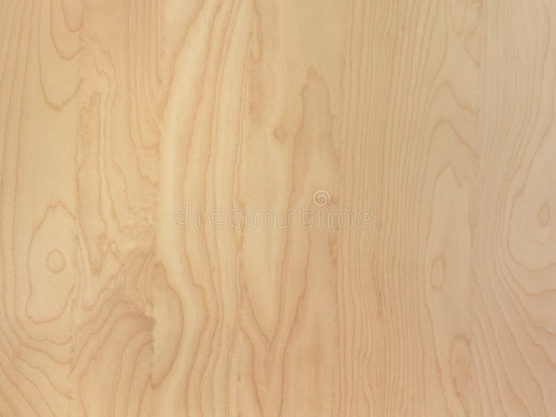 Subtle Tan Birch Wood Grain Abstract Background Surface Stock Image Image Of Tree Grain