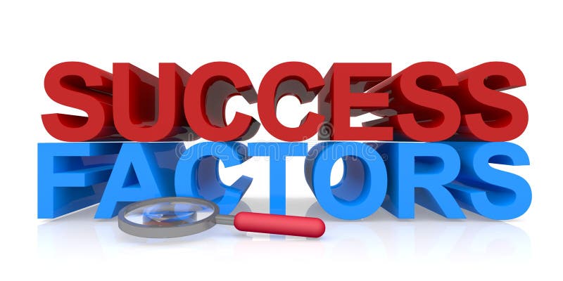 Success Factor Que Es