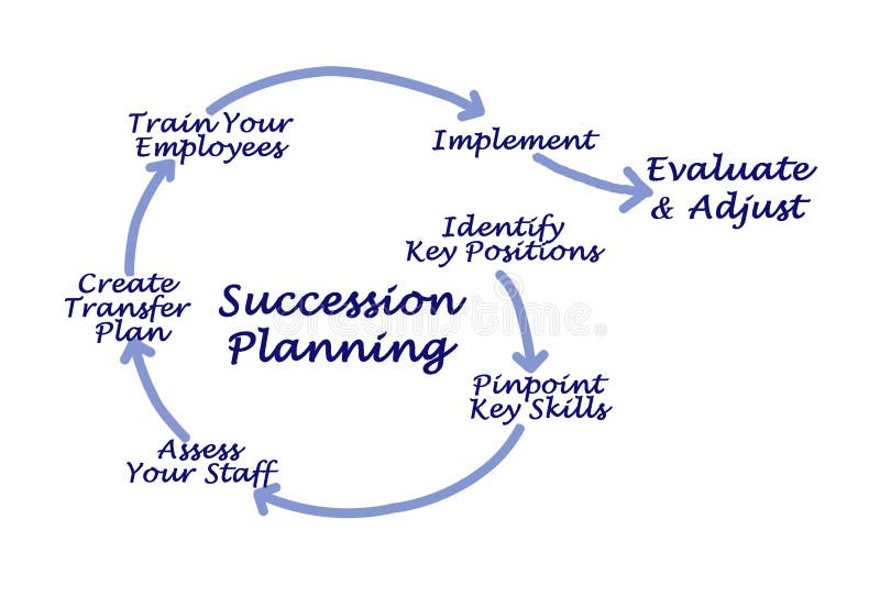 Succession Planning Stock Illustrations – 1,075 Succession Planning