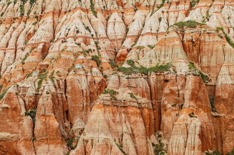 Red clays with dinosaur fossils. Geological reserve