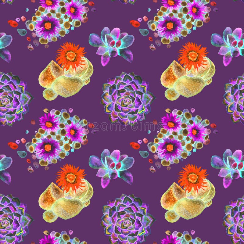 Succulent red and blue blooming plants and stones top view, seamless pattern design in bright neon colors palette on dark purple vector illustration
