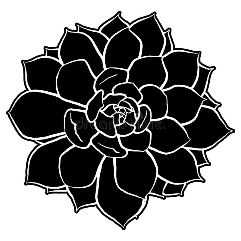 Succulent Illustration Stock Illustrations 63 792 Succulent Illustration Stock Illustrations Vectors Clipart Dreamstime